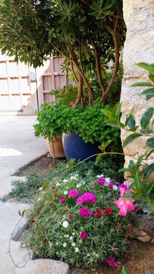 דירות Ražanac Quartier No.63 מראה חיצוני תמונה